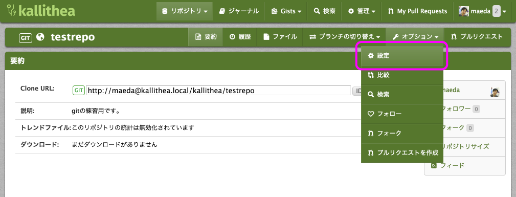 ../_images/repository-option-setting.png